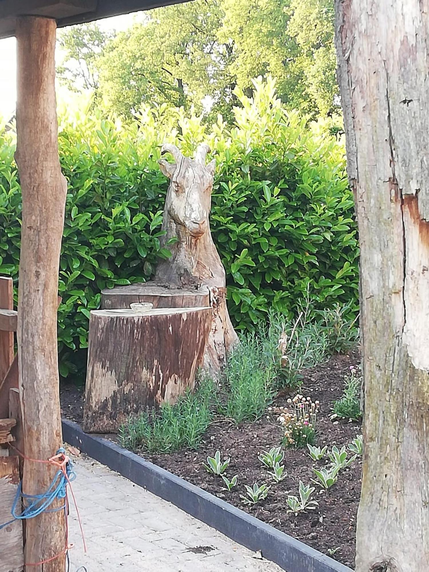 Logeren Bij De Soerensesteeg Uddel Exterior foto