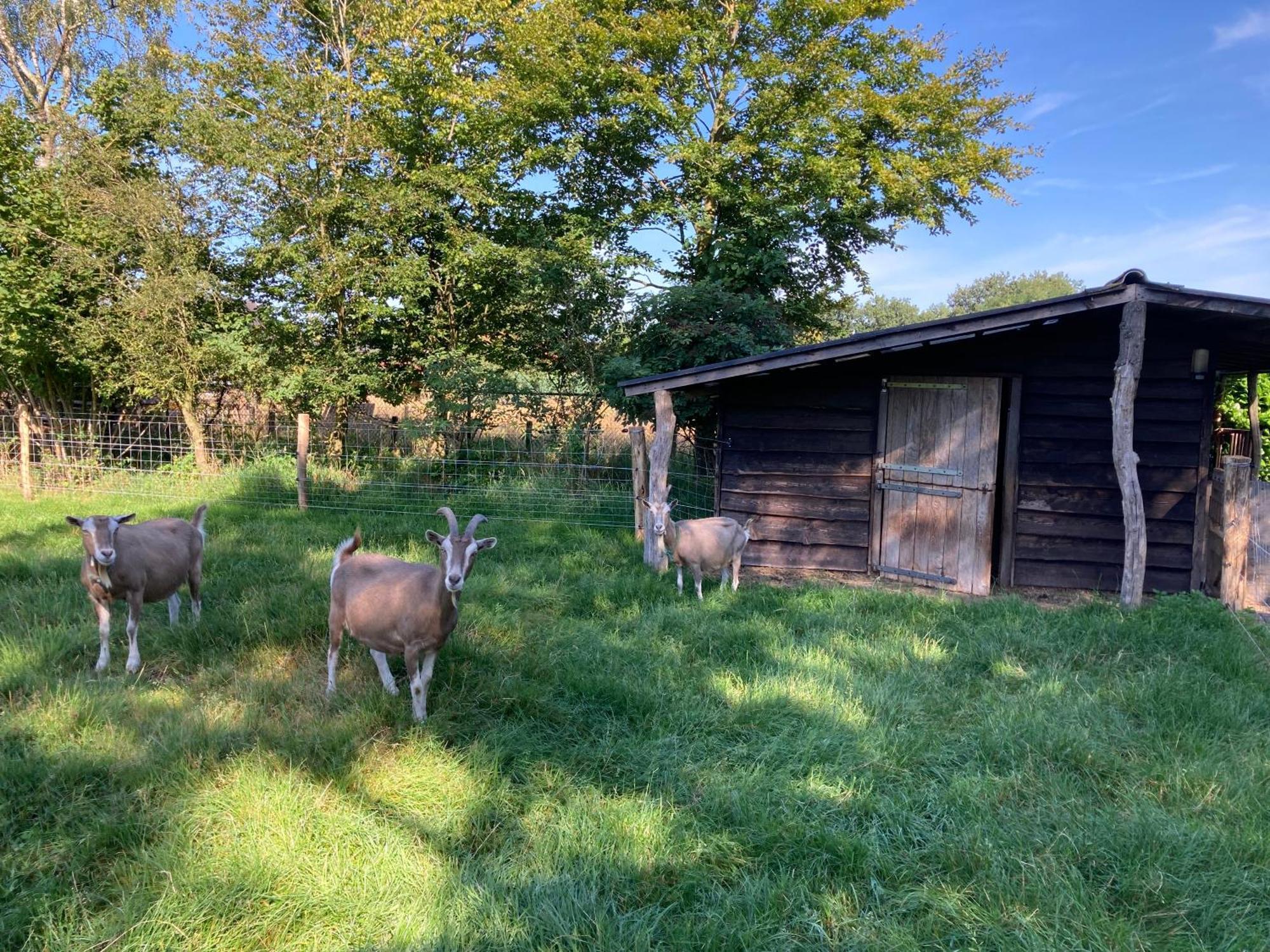 Logeren Bij De Soerensesteeg Uddel Exterior foto